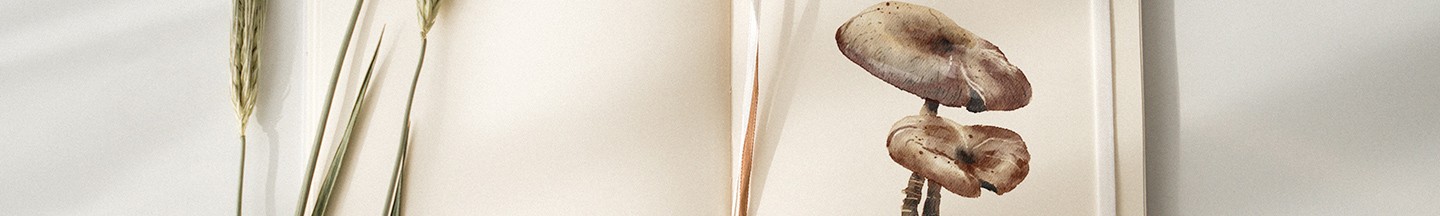 Watercolour Paint