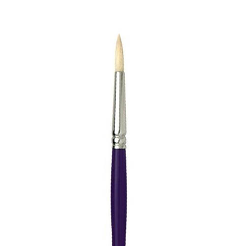 Pro Arte Series C Studio Hog Round: No.0