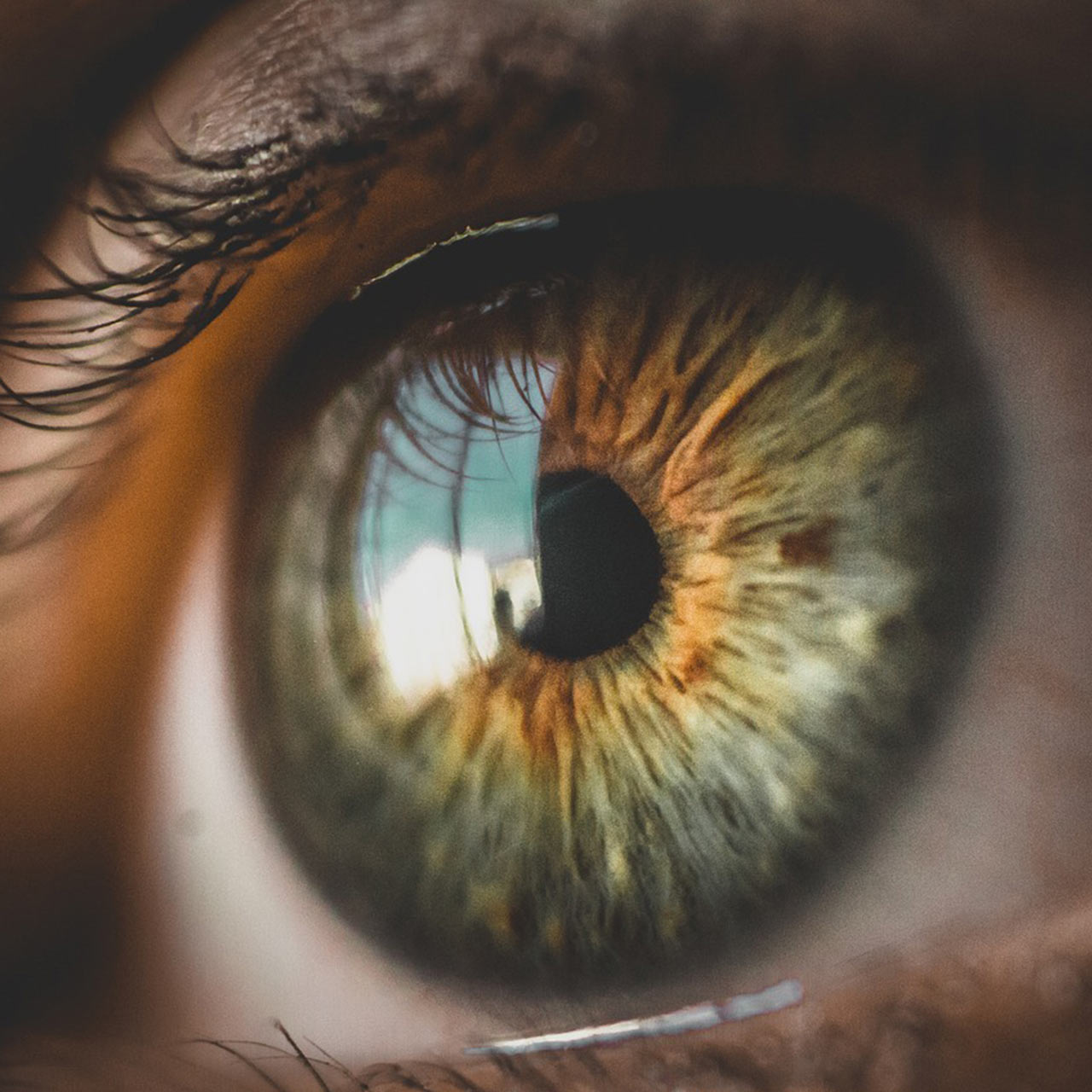 A close up of an eye looking at light