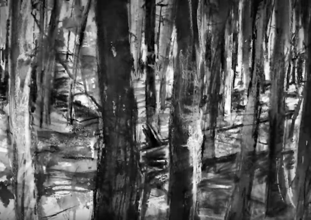 Art drawing using liquid charcoal