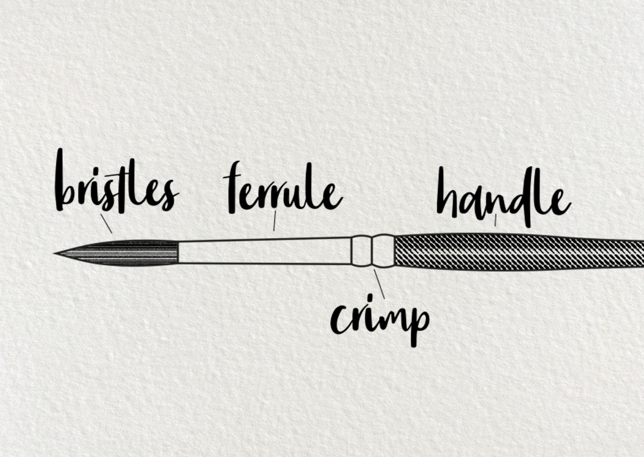 Diagram of Painting Brush parts