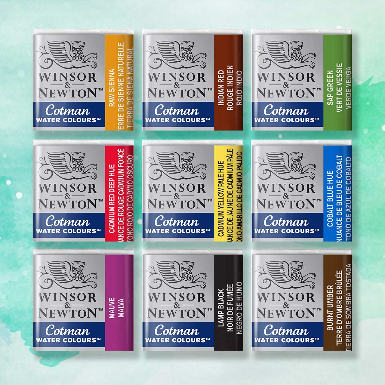 Winsor & Newton Professional Watercolour Half Pan