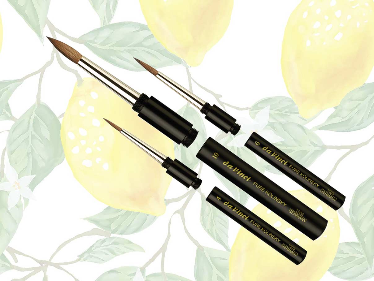 Da Vinci travel brushes